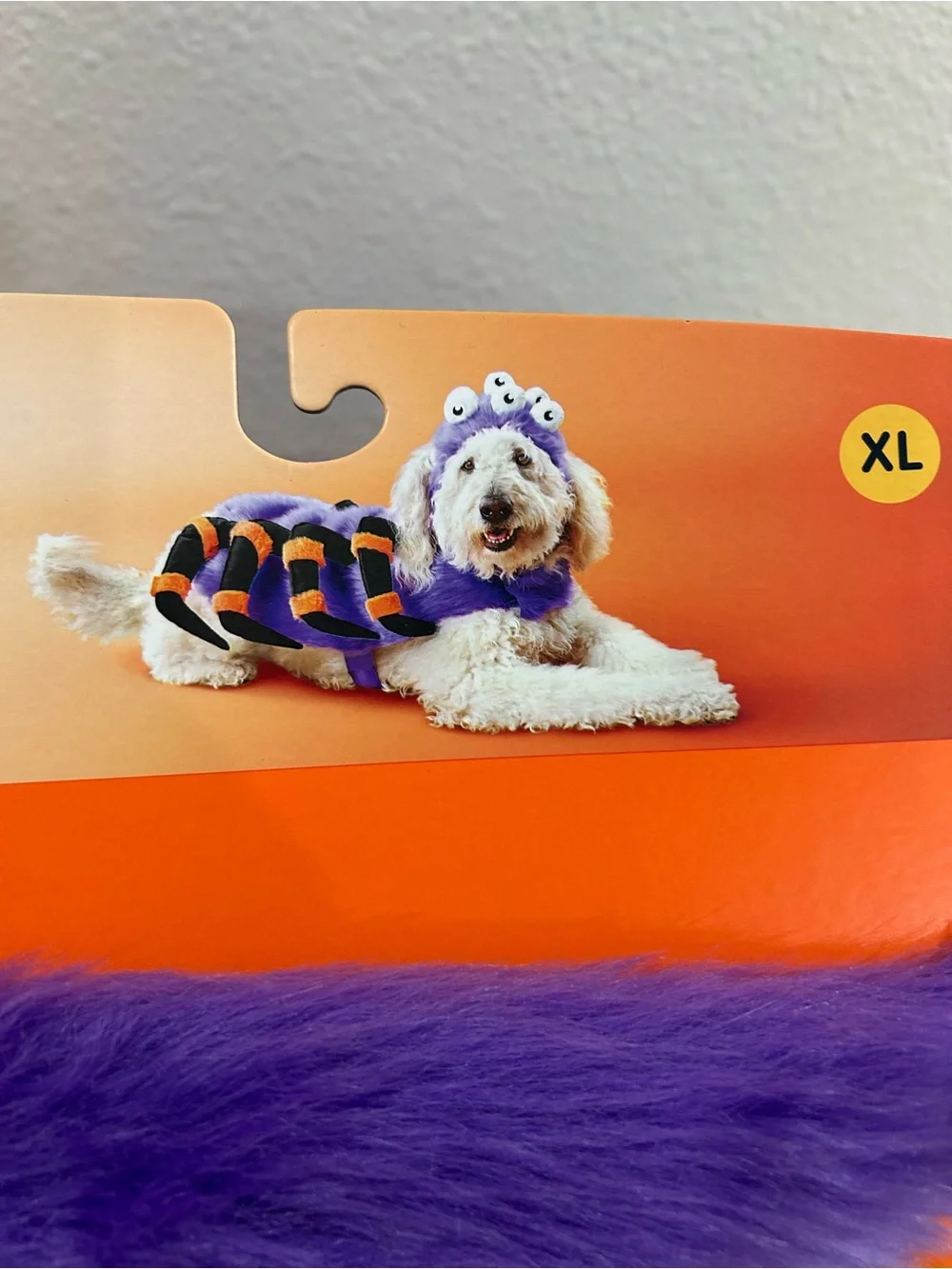 Boots & Barkley don’t forget